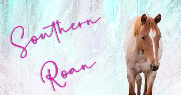 Southern Roan 